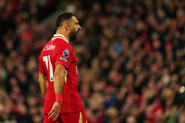 种相对开放 种相对开放