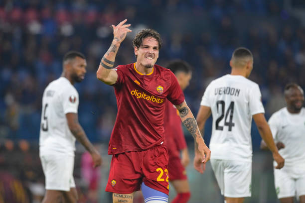 疑提供了许 疑提供了许